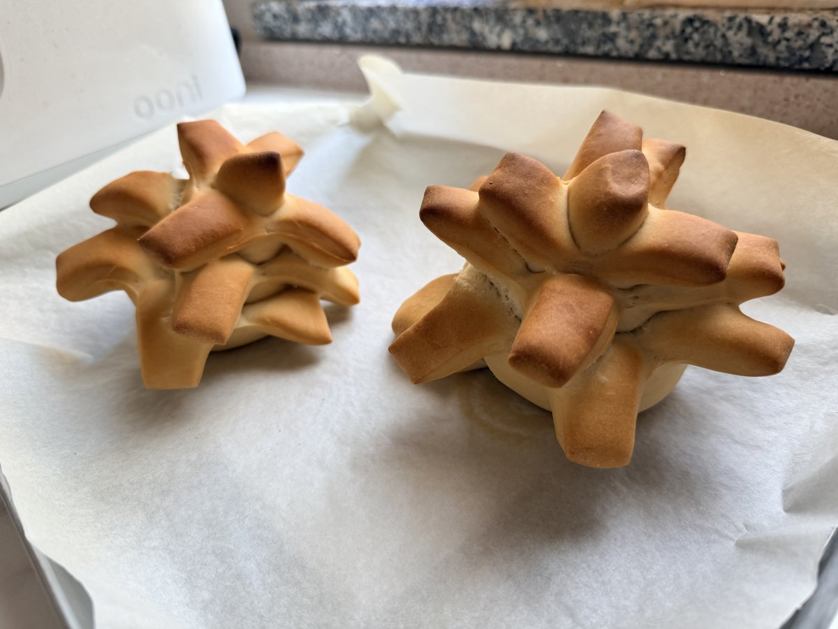 Pane pasta dura